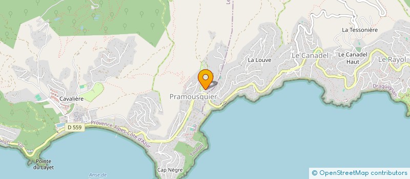 localisation de l'entreprise MONSIEUR KANE MOONEY à LE LAVANDOU