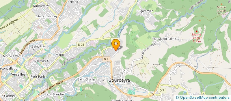 localisation de l'entreprise MONSIEUR KANOLD ANCION  GOURBEYRE