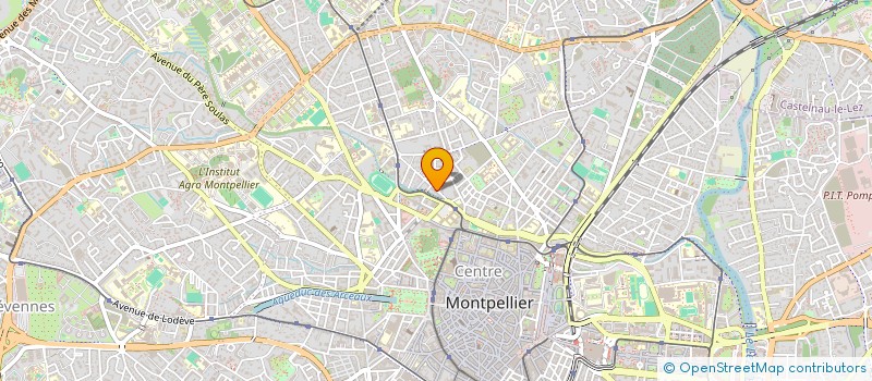 localisation de l'entreprise MONSIEUR KARI RAZ YEGANEH à MONTPELLIER