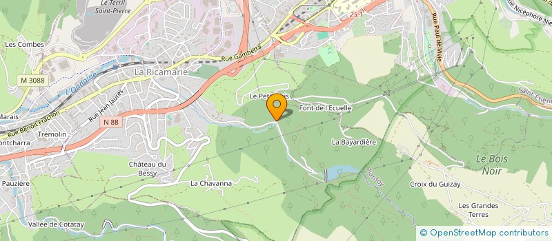 localisation de l'entreprise MONSIEUR KARIM BELACHOUI  LA RICAMARIE