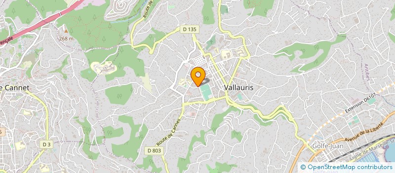 localisation de l'entreprise MONSIEUR KARIM BENASR  VALLAURIS