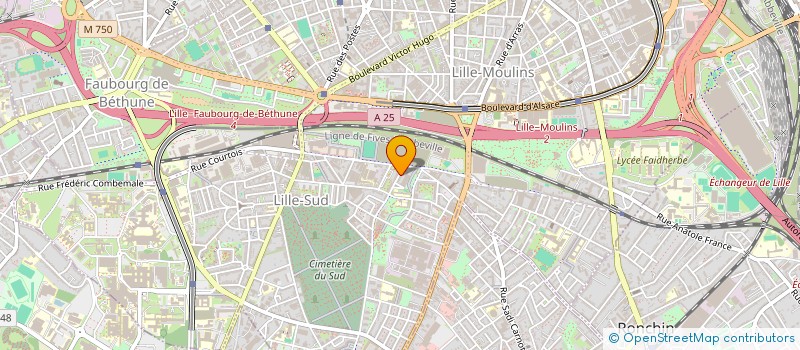 localisation de l'entreprise MONSIEUR KARIM DJEDID  LILLE