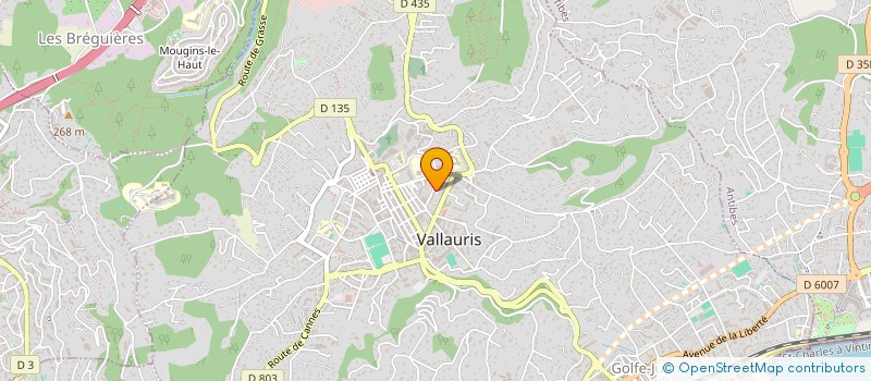localisation de l'entreprise MONSIEUR KARIM RIDJALI à VALLAURIS