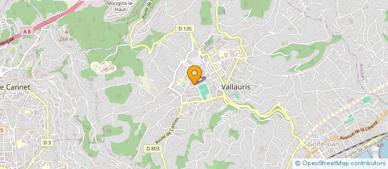 localisation de l'entreprise MONSIEUR KARIM ZAAM à VALLAURIS
