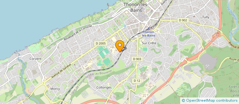 localisation de l'entreprise MONSIEUR KASIM ALTINEL à THONON-LES-BAINS