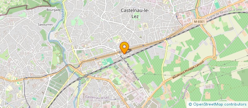 localisation de l'entreprise MONSIEUR KELLIAN PUGINIER à CASTELNAU-LE-LEZ