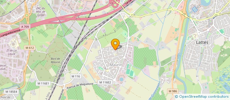 localisation de l'entreprise MONSIEUR KELVIN DE LA FUENTE à LATTES