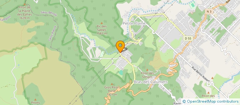 localisation de l'entreprise MONSIEUR KERIAN VICTOIRE  LA PLAINE-DES-PALMISTES