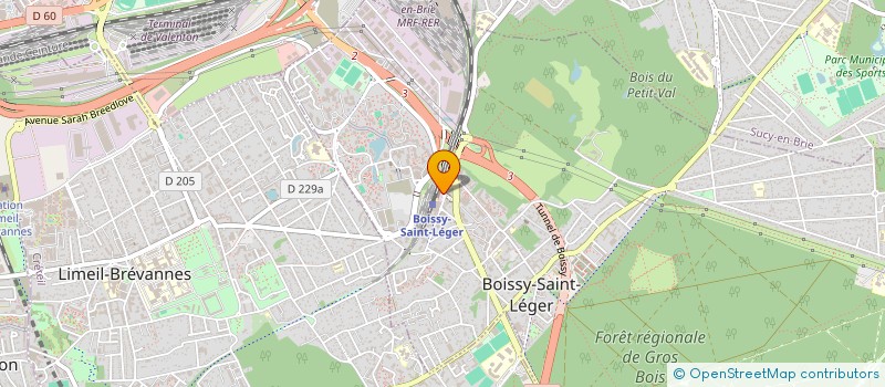 localisation de l'entreprise MONSIEUR KEVIN CHARLEBOIS à BOISSY-SAINT-LEGER