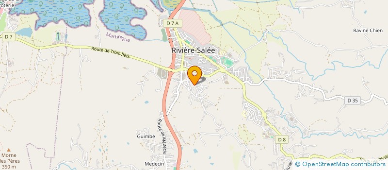 localisation de l'entreprise MONSIEUR KEVIN DAVIDAS  RIVIERE-SALEE