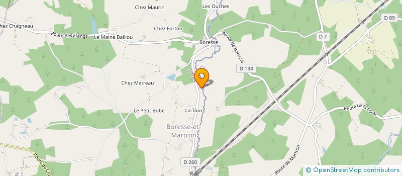 localisation de l'entreprise MONSIEUR KEVIN FITZPATRICK  BORESSE-ET-MARTRON