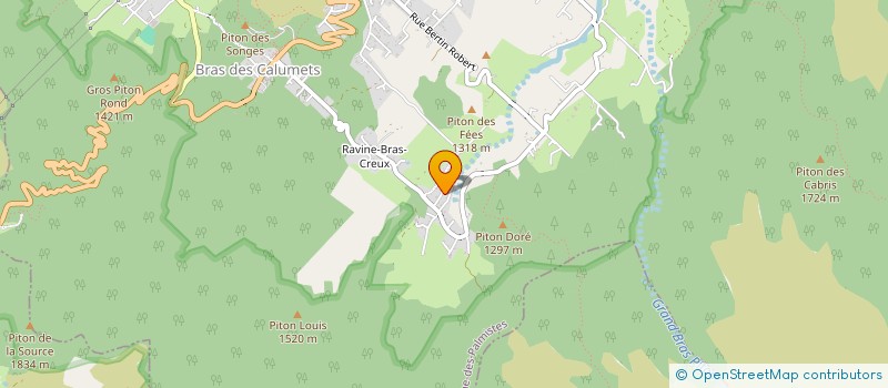 localisation de l'entreprise MONSIEUR KEVIN JALMA  LA PLAINE-DES-PALMISTES