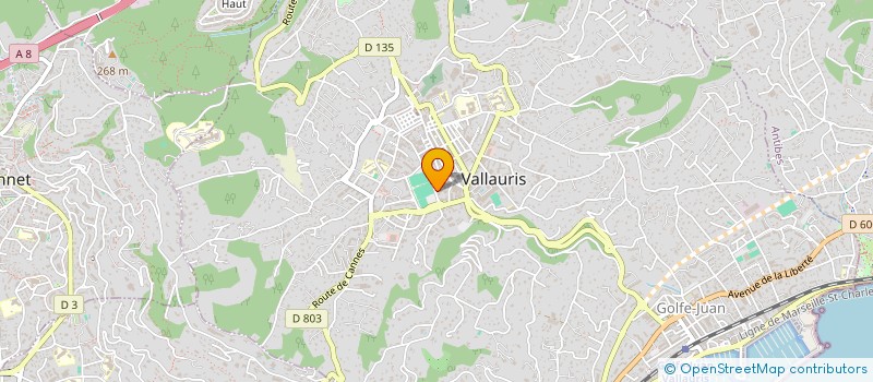 localisation de l'entreprise MONSIEUR KHALED AKEL à VALLAURIS