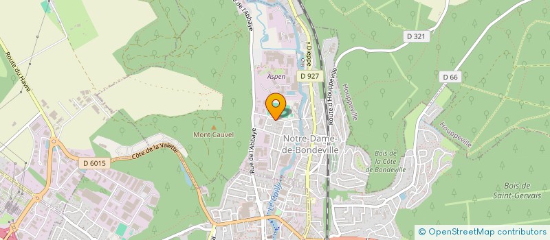 localisation de l'entreprise MONSIEUR KHALED ALSAQA  NOTRE-DAME-DE-BONDEVILLE