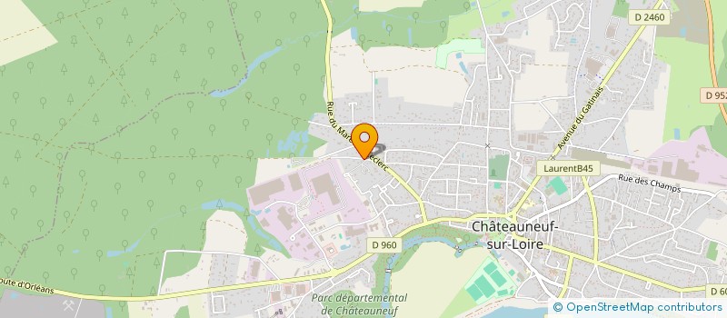 localisation de l'entreprise MONSIEUR KILLIAM DESNOUES à CHATEAUNEUF-SUR-LOIRE