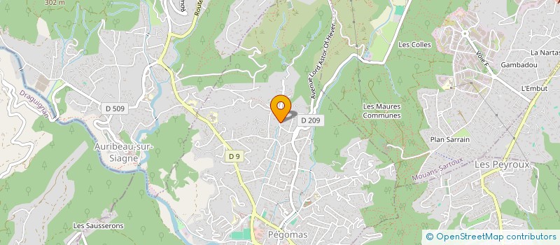 localisation de l'entreprise MONSIEUR KILLIAN CHAMBON  PEGOMAS