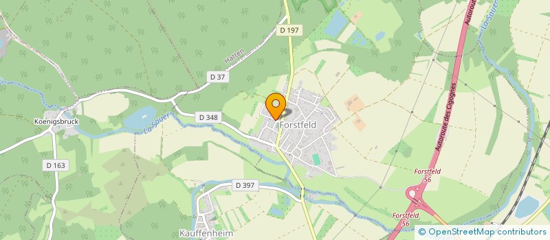 localisation de l'entreprise MONSIEUR KIM-DAVY LY  FORSTFELD