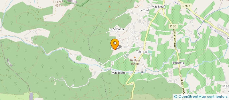 localisation de l'entreprise MONSIEUR KIM NASMYTH  SAINT-FELIX-DE-PALLIERES