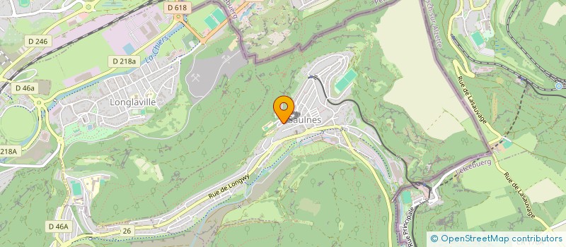 localisation de l'entreprise MONSIEUR KIOKOLE MBU MASASI  SAULNES