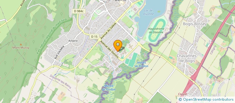 localisation de l'entreprise MONSIEUR KOUADIO KOUASSI  DIVONNE-LES-BAINS