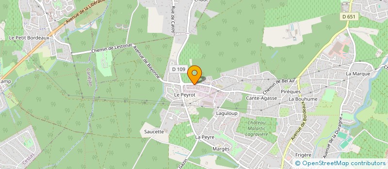 localisation de l'entreprise MONSIEUR KRISTIAN PUZEAUX  LEOGNAN