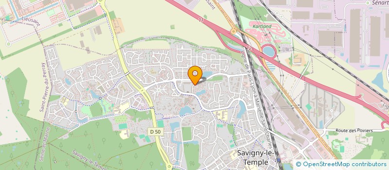localisation de l'entreprise MONSIEUR KUNTA LIDWIC COSAQUE  SAVIGNY-LE-TEMPLE