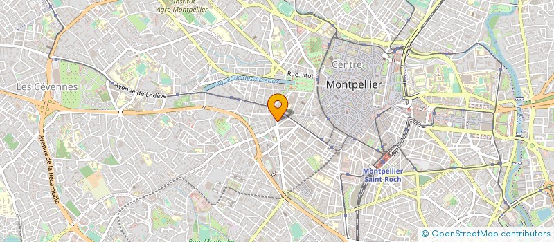 localisation de l'entreprise MONSIEUR LAHEENE AMEUR à MONTPELLIER