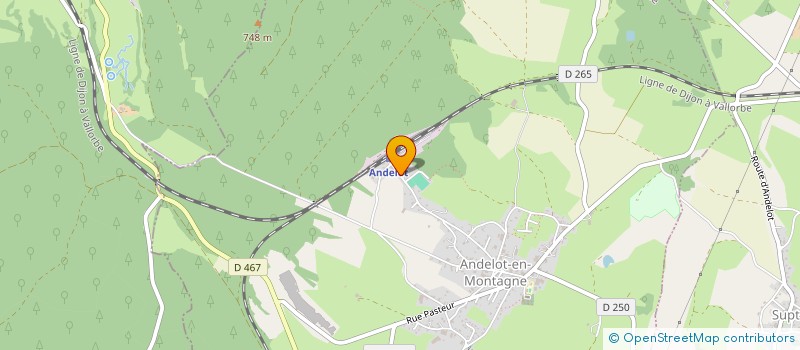 localisation de l'entreprise MONSIEUR LANCELOT VEGA  ANDELOT-EN-MONTAGNE