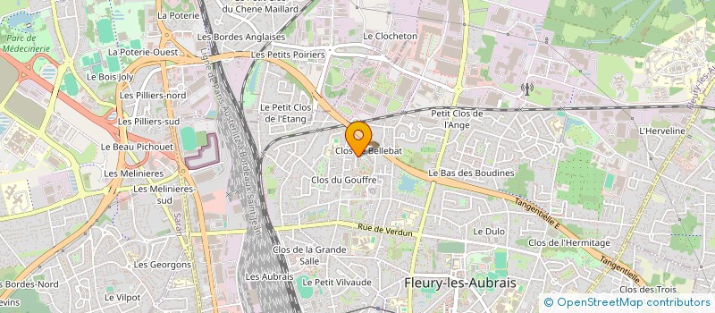 localisation de l'entreprise MONSIEUR LANDRY MOPOLO KUSABA ELONGO  FLEURY-LES-AUBRAIS