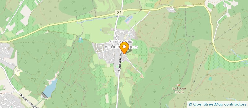 localisation de l'entreprise MONSIEUR LANDRY PUJANTE  SAINTE-CROIX-DE-QUINTILLARGUES