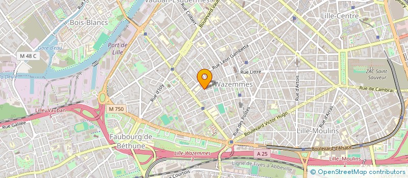 localisation de l'entreprise MONSIEUR LANIS SIDER à LILLE