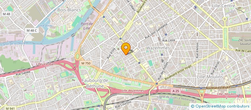 localisation de l'entreprise MONSIEUR LARA STALIN à LILLE