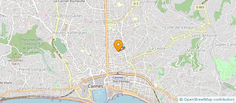 localisation de l'entreprise MONSIEUR LARRY BRESSANT  CANNES