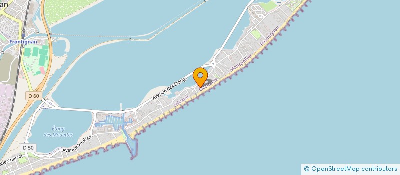 localisation de l'entreprise MONSIEUR LAURENT ALAIN DELEMOTTE à FRONTIGNAN