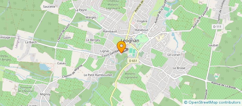 localisation de l'entreprise MONSIEUR LAURENT ANDRAUD  LEOGNAN