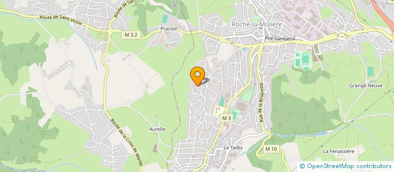 localisation de l'entreprise MONSIEUR LAURENT ARCOS  ROCHE-LA-MOLIERE