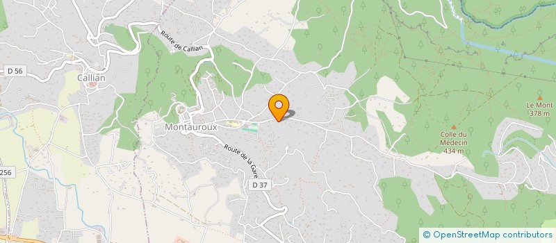 localisation de l'entreprise MONSIEUR LAURENT BELLINO à MONTAUROUX