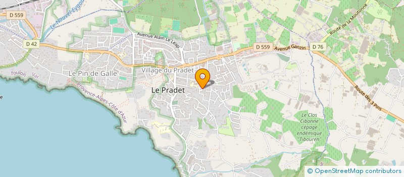 localisation de l'entreprise MONSIEUR LAURENT BENEZET à LE PRADET