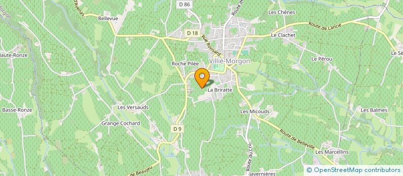 localisation de l'entreprise MONSIEUR LAURENT BERGERON  VILLIE MORGON