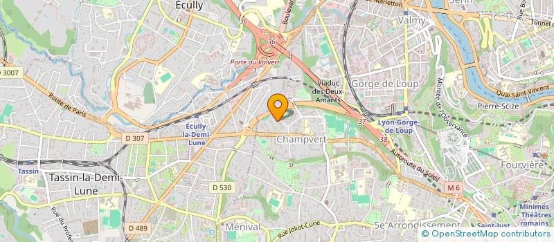 localisation de l'entreprise MONSIEUR LAURENT BERIARD  LYON