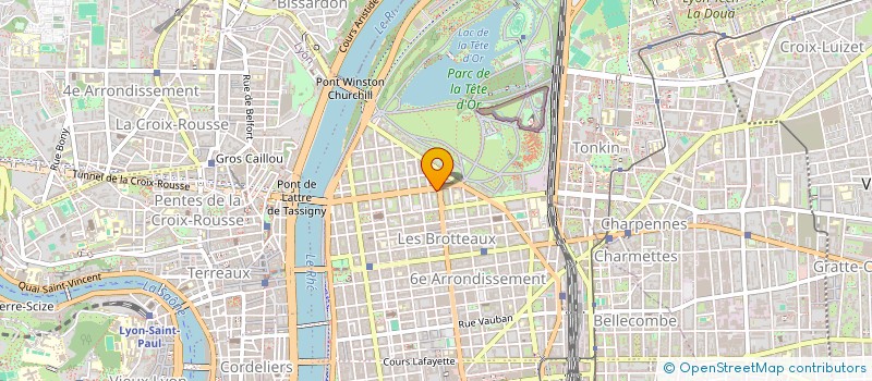 localisation de l'entreprise MONSIEUR LAURENT BISMUTH  LYON