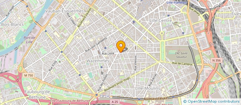 localisation de l'entreprise MONSIEUR LAURENT BLAHA à LILLE