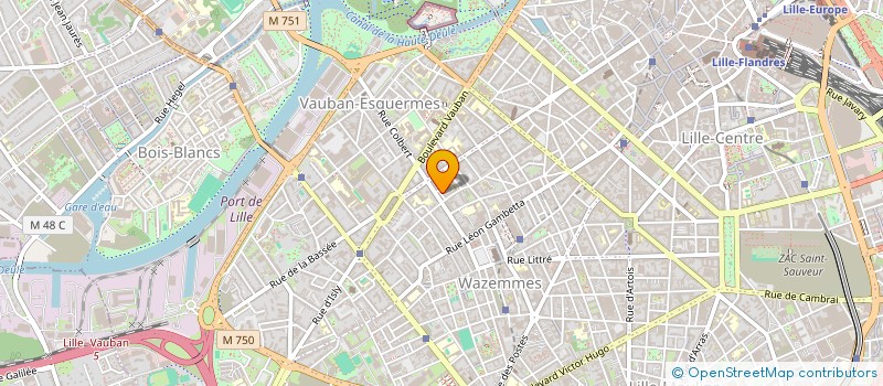 localisation de l'entreprise MONSIEUR LAURENT BOUCHET  LILLE