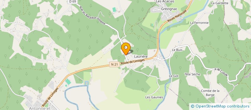 localisation de l'entreprise MONSIEUR LAURENT COCHON  ANTONNE-ET-TRIGONANT