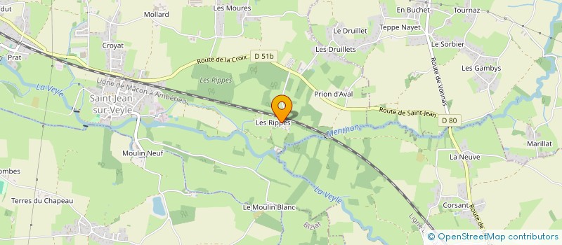 localisation de l'entreprise MONSIEUR LAURENT COURTIAL  SAINT-JEAN-SUR-VEYLE