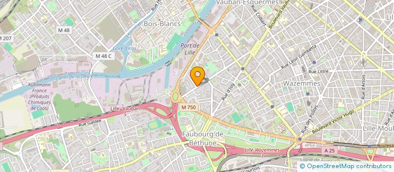 localisation de l'entreprise MONSIEUR LAURENT COUSIN à LILLE