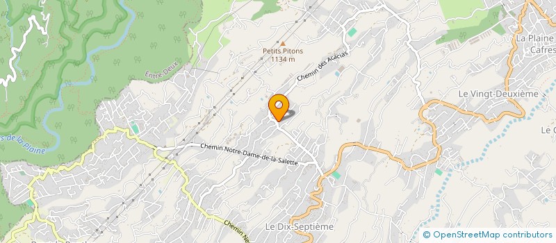 localisation de l'entreprise MONSIEUR LAURENT DALLEAU  LE TAMPON