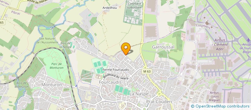 localisation de l'entreprise MONSIEUR LAURENT DANFLOUS à COLOMIERS