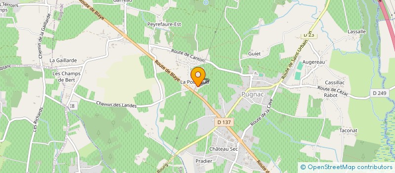 localisation de l'entreprise MONSIEUR LAURENT DAVID  PUGNAC