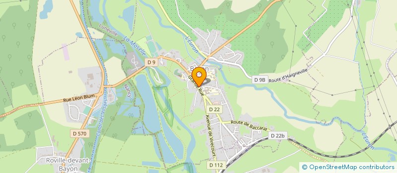 localisation de l'entreprise MONSIEUR LAURENT DEFOY à BAYON